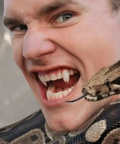 Teeth & Fangs Scarecrow Custom Viper Split Deluxe Vampire Fangs