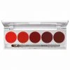 Kryolan Lip Colour 5 Palette - Cream Lipstick & Blusher - D 2 Kryolan Lip Colour 5 Palette - Cream Lipstick & Blusher - D