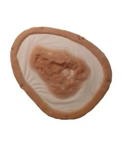 Prosthetics Monster FX Encapsulated Silicone Prosthetic - Decayed Flesh Wound