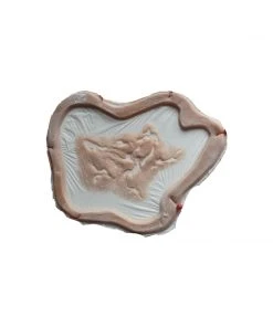 Monster FX Encapsulated Silicone Prosthetic - Decayed Flesh Wound 2