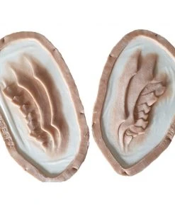 Monster FX Encapsulated Silicone Prosthetic - Large Neck Gills (Set 1)