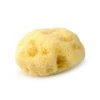 Mehron Professional Natural Sea Sponge Applicator 2 Mehron Professional Natural Sea Sponge Applicator
