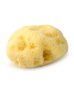 Mehron Professional Natural Sea Sponge Applicator