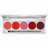 Kryolan Lip Colour 5 Palette - Cream Lipstick & Blusher - Performance