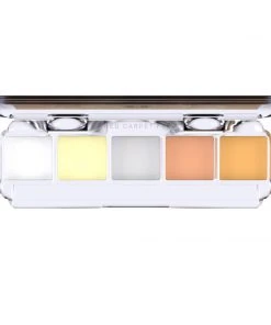 Dashbo Ultimate Special Edition 5 Colour Palette - The Silver Fox FX Colour Palettes