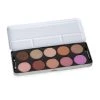 Stargazer Professional Blusher Palette
